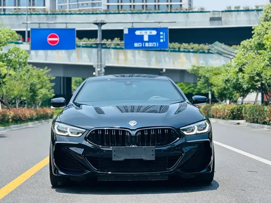 BMW 8 Series — фото 5
