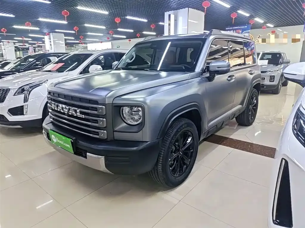 Haval Menglong New Energy — фото 1