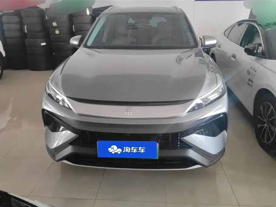 BYD Pro New Energy — фото 4