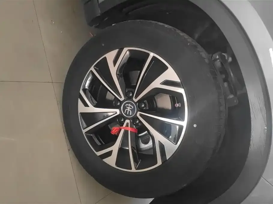 BYD Pro New Energy — фото 3