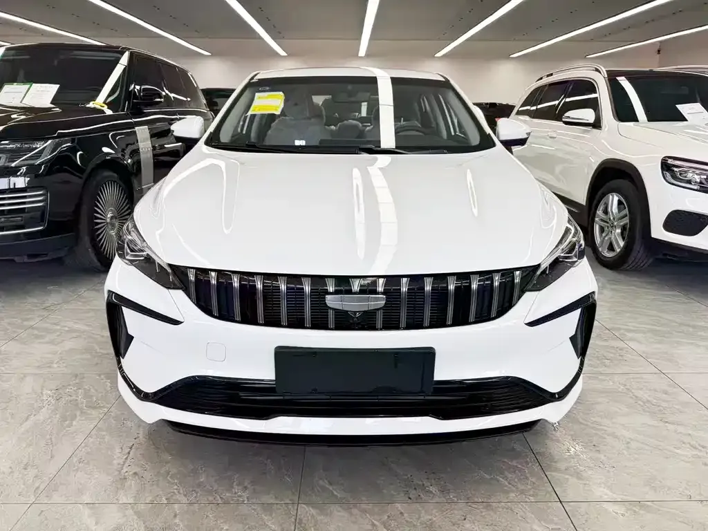 Geely Binrui — фото 2