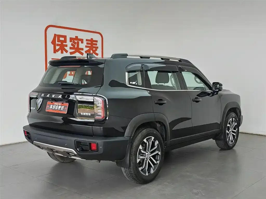 Haval Big Dog — фото 7