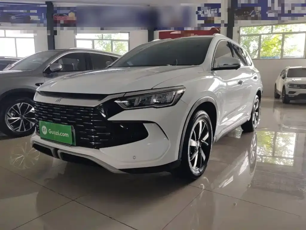 BYD Pro New Energy — фото 1