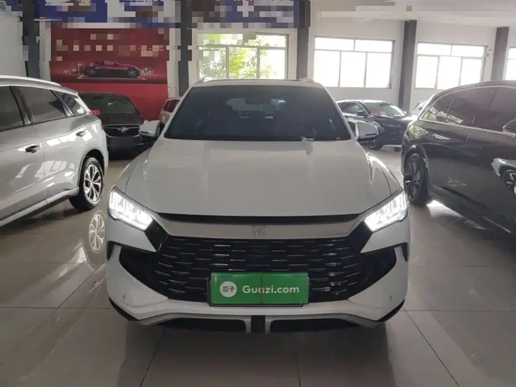 BYD Pro New Energy — фото 6