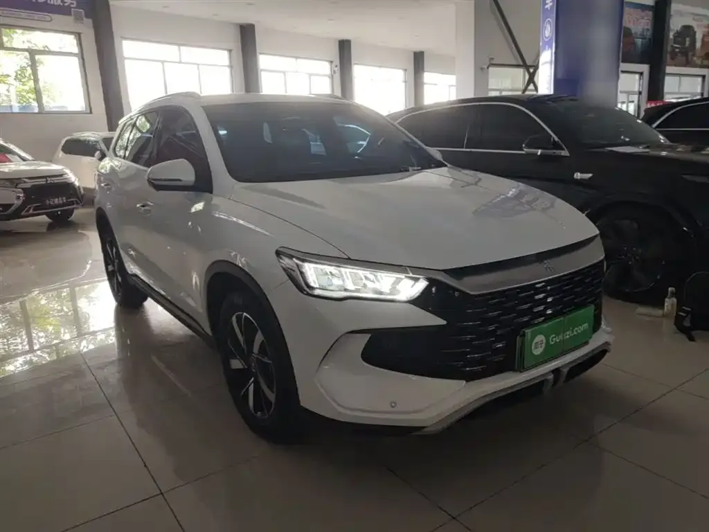BYD Pro New Energy — фото 9