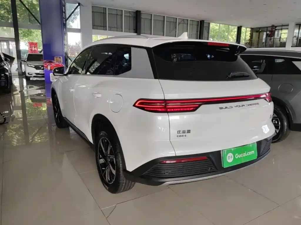 BYD Pro New Energy — фото 7