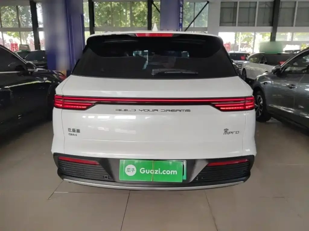 BYD Pro New Energy — фото 5