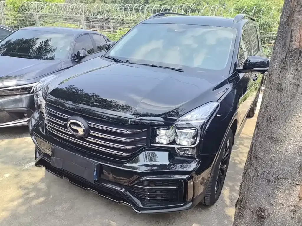 GAC Motor Trumpchi GS8 — фото 6