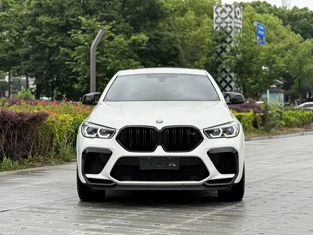 BMW X6 M — фото 10