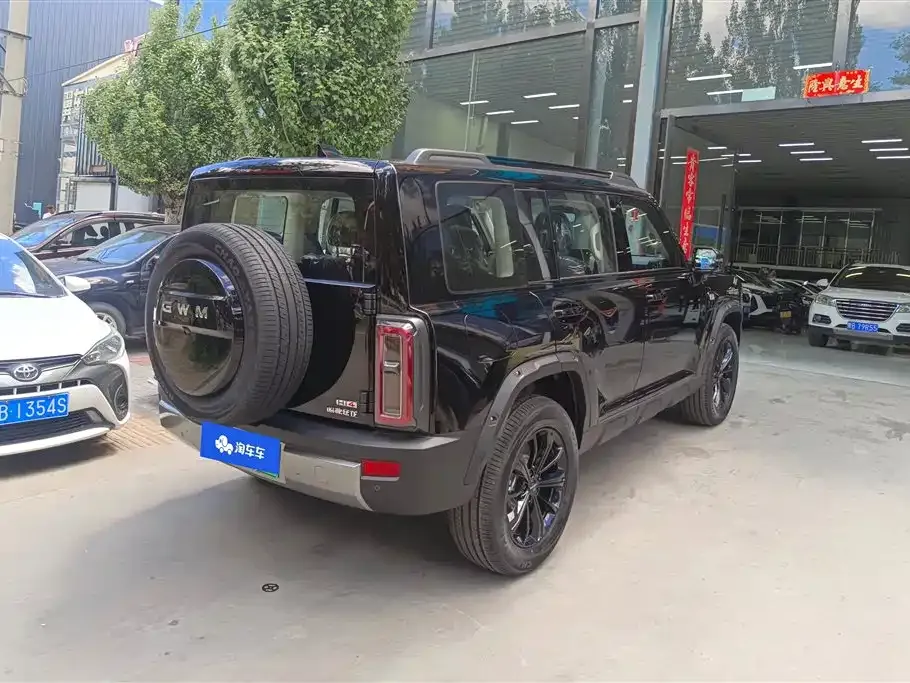 Haval 长城猛龙 PLUS — фото 10
