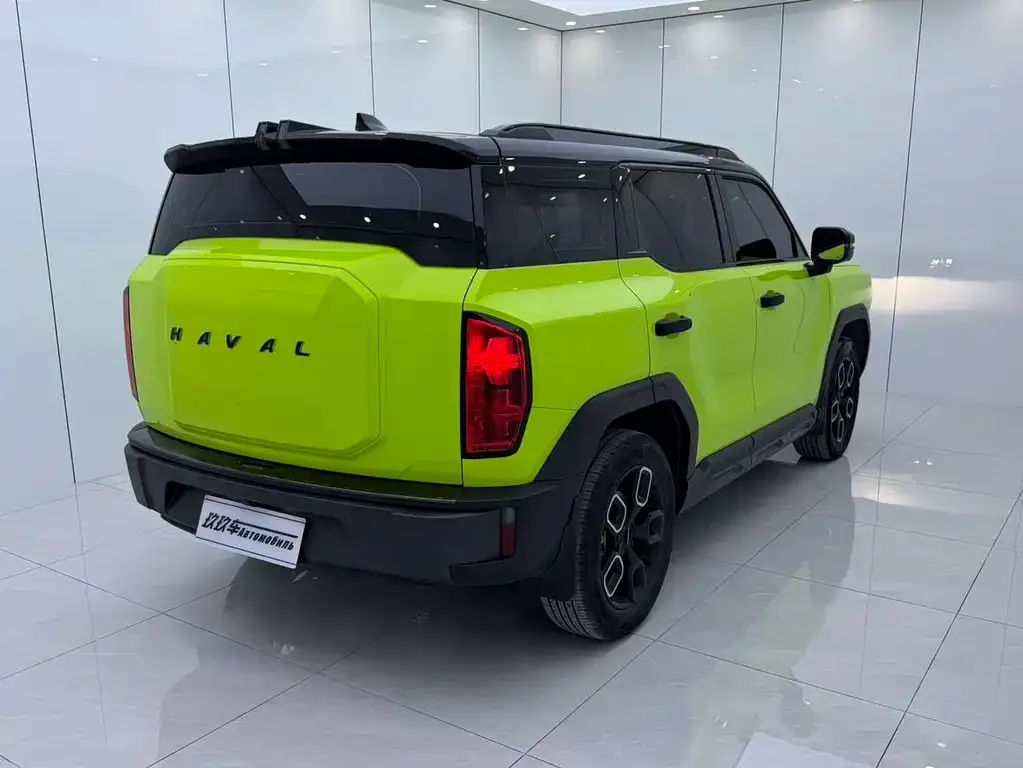 Haval Cool Dog — фото 7