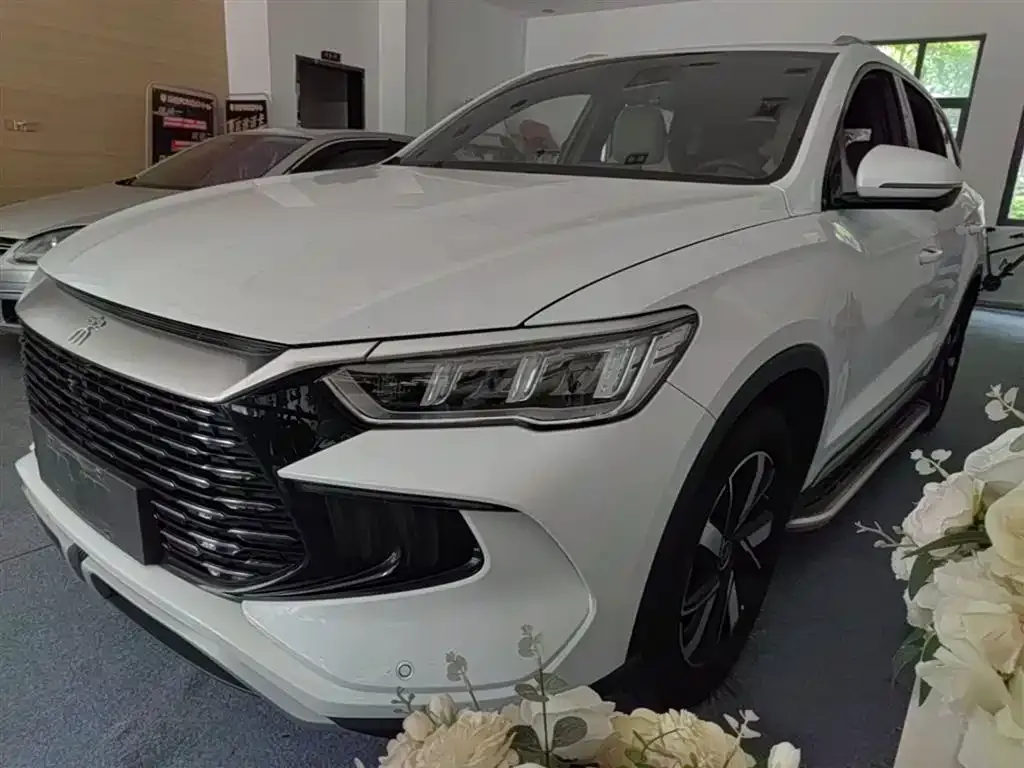 BYD Pro New Energy — фото 1