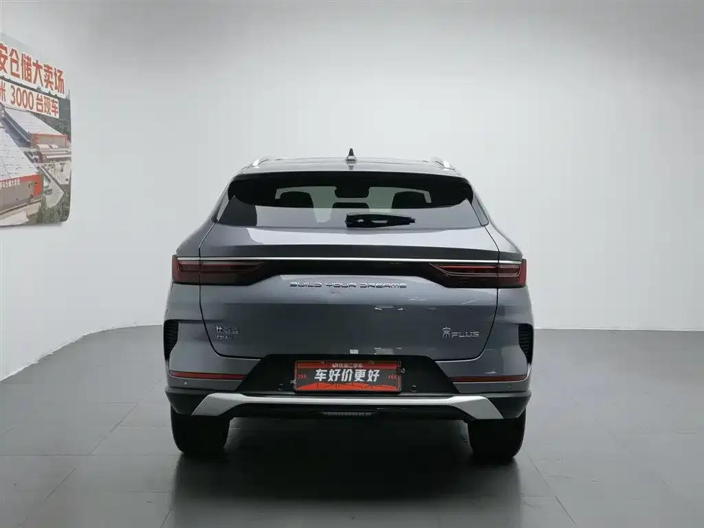 BYD PLUS New Energy — фото 4