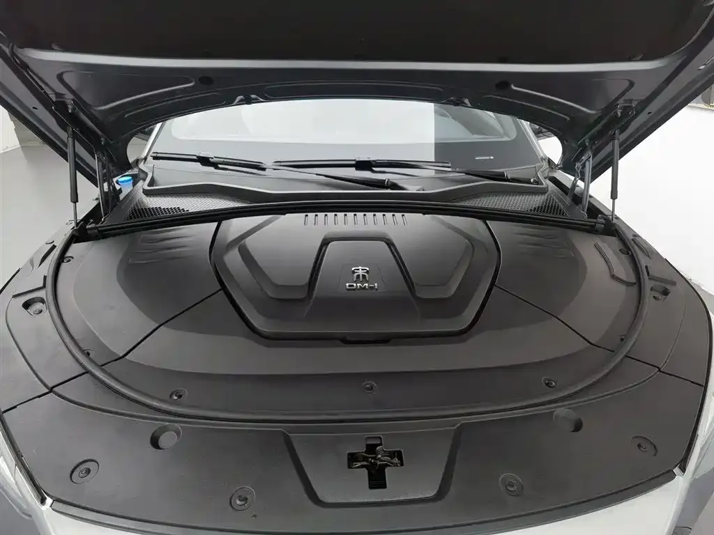 BYD PLUS New Energy — фото 2