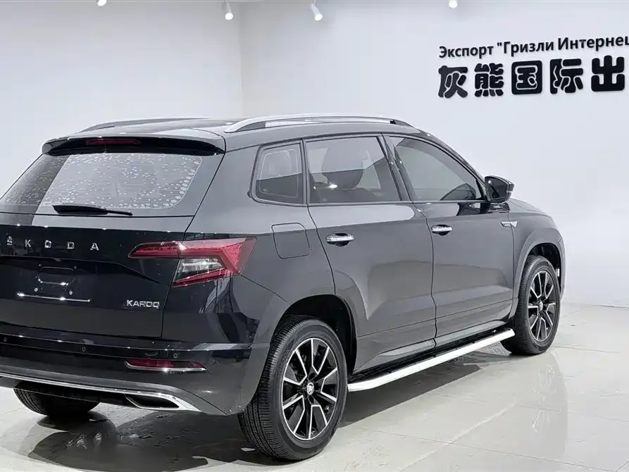 Skoda Karoq — фото 3