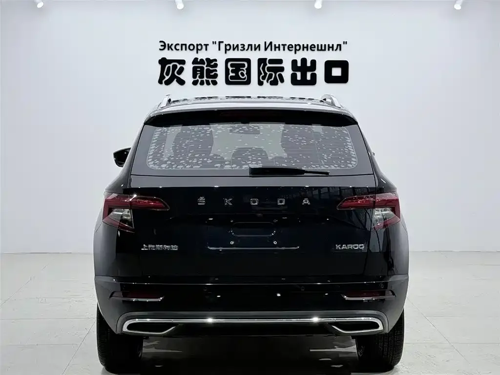Skoda Karoq — фото 7