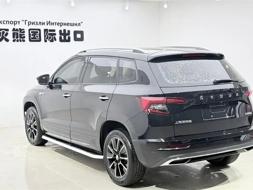 Skoda Karoq — фото 10