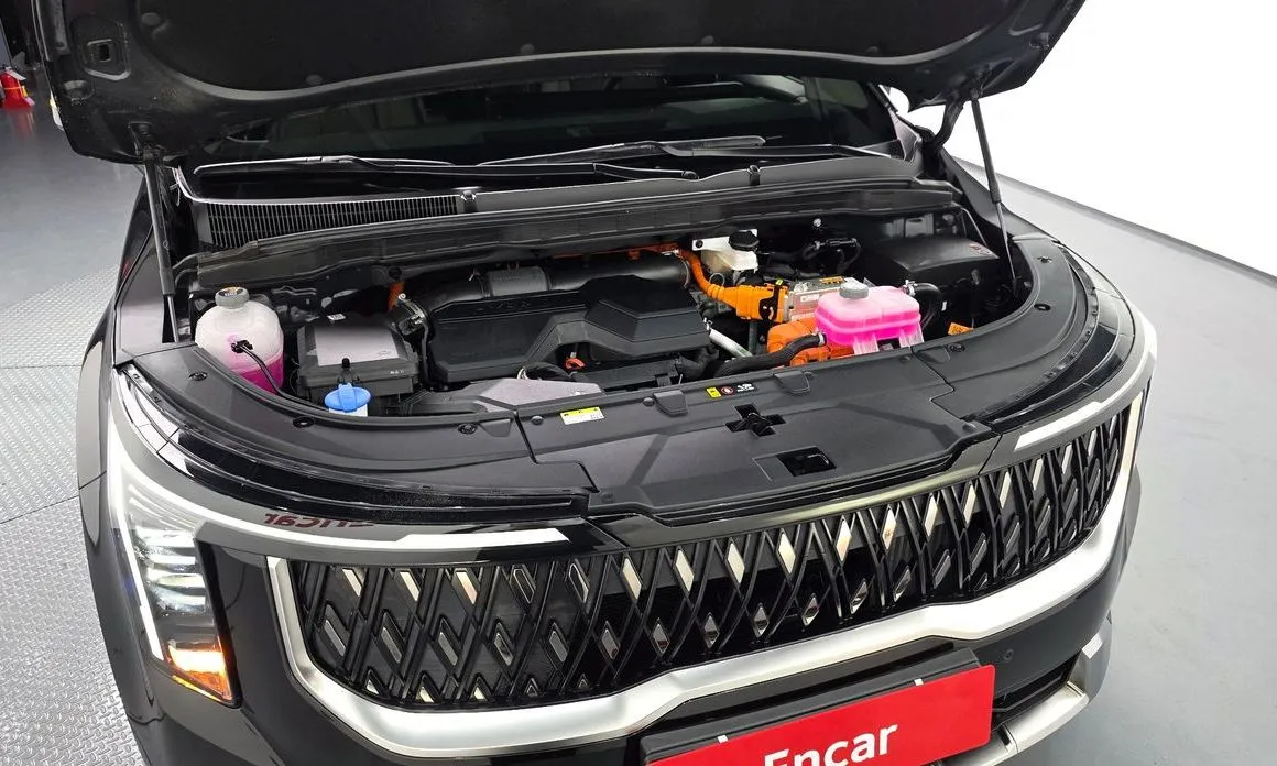 Kia Carnival — фото 9