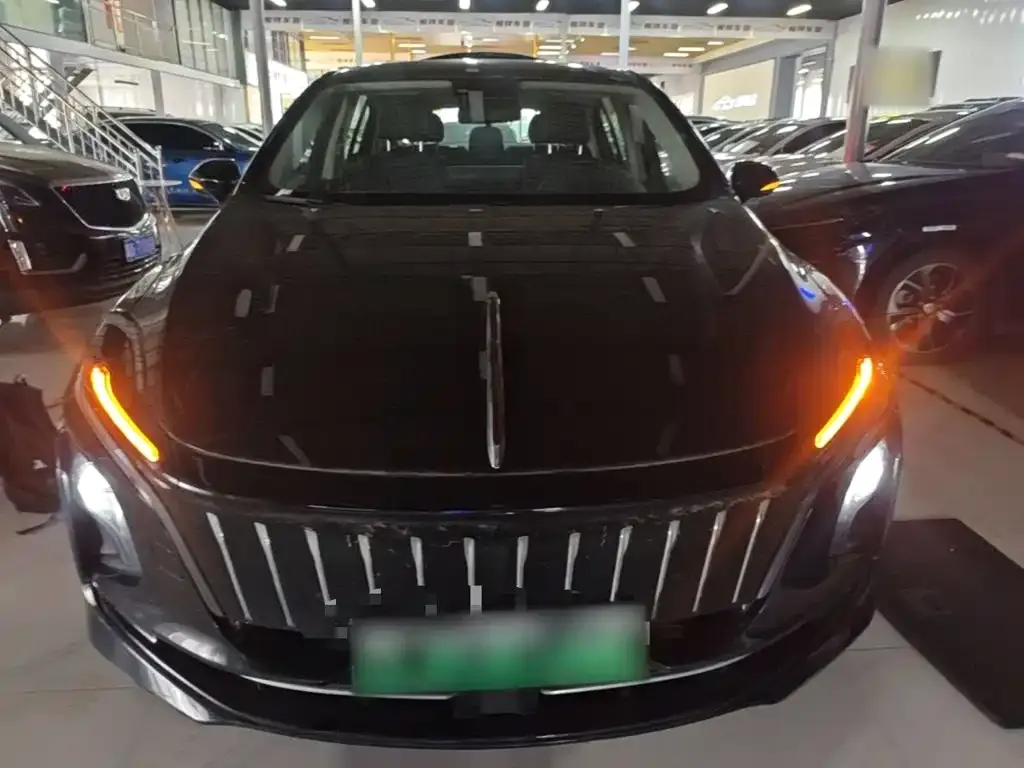 Hongqi E-QM5 — фото 10