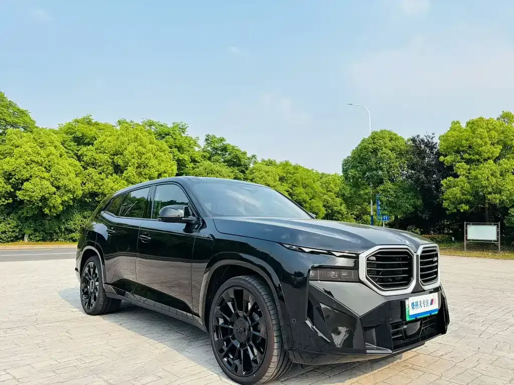 BMW XM — фото 9