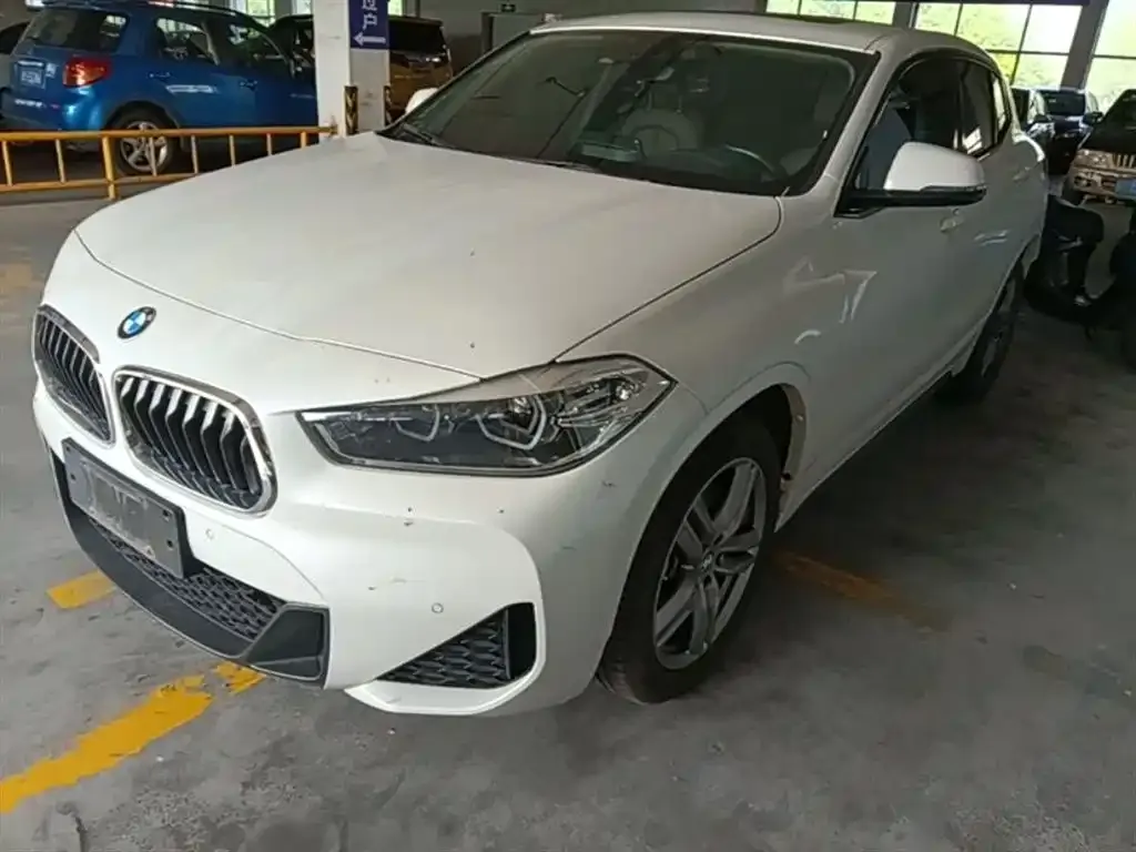 BMW X2 — фото 1