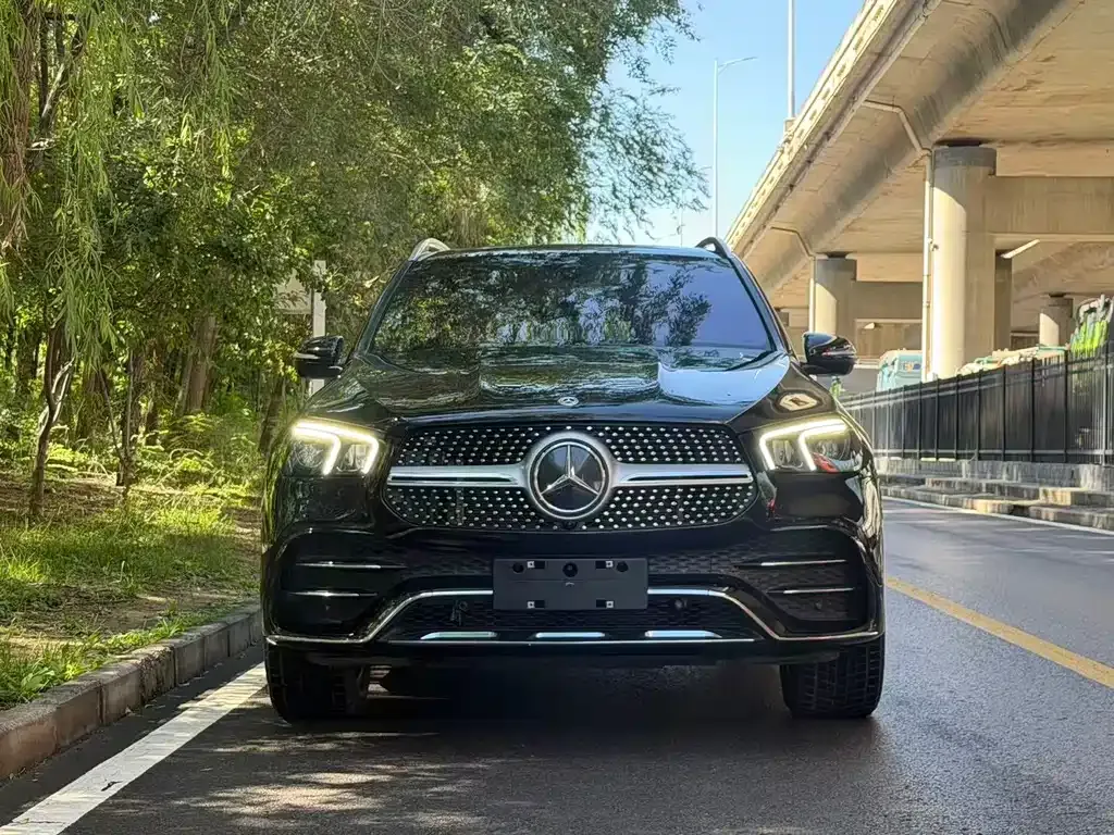 Mercedes-Benz 奔驰GLE(进口) — фото 6