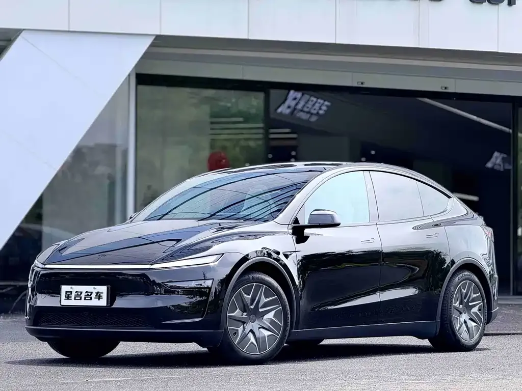 Tesla Model Y L — фото 1