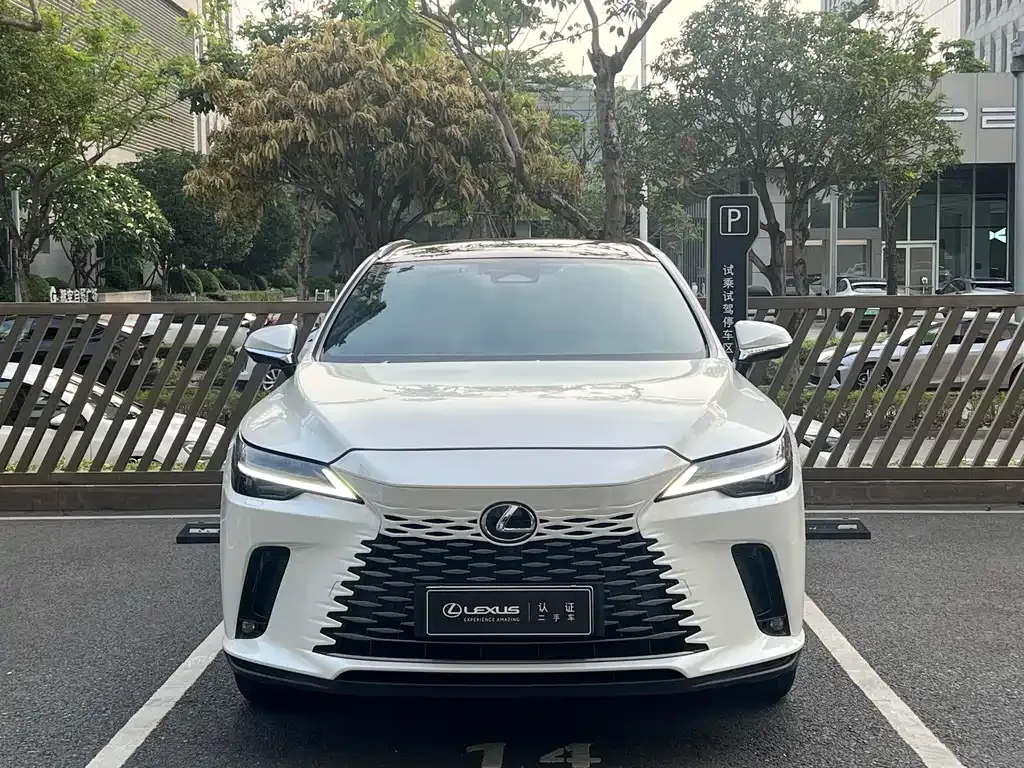 Lexus RX New Energy — фото 10