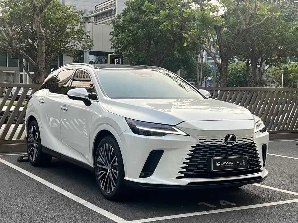 Lexus RX New Energy — фото 8