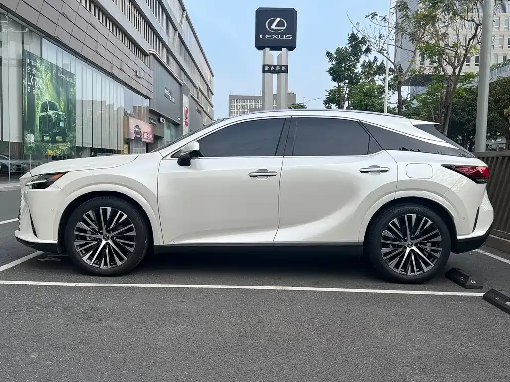 Lexus RX New Energy — фото 9