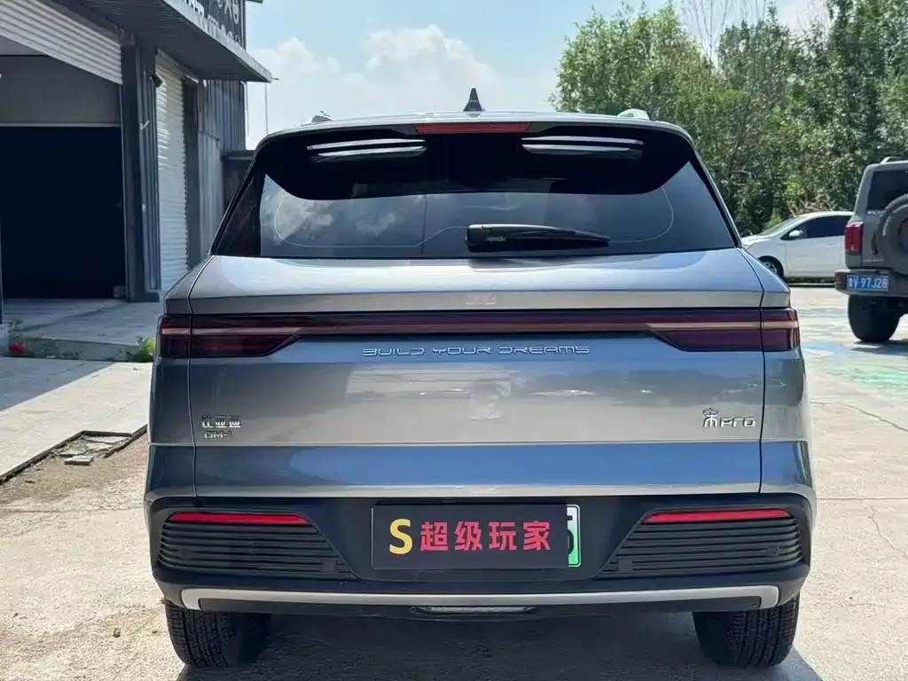 BYD Pro New Energy — фото 5