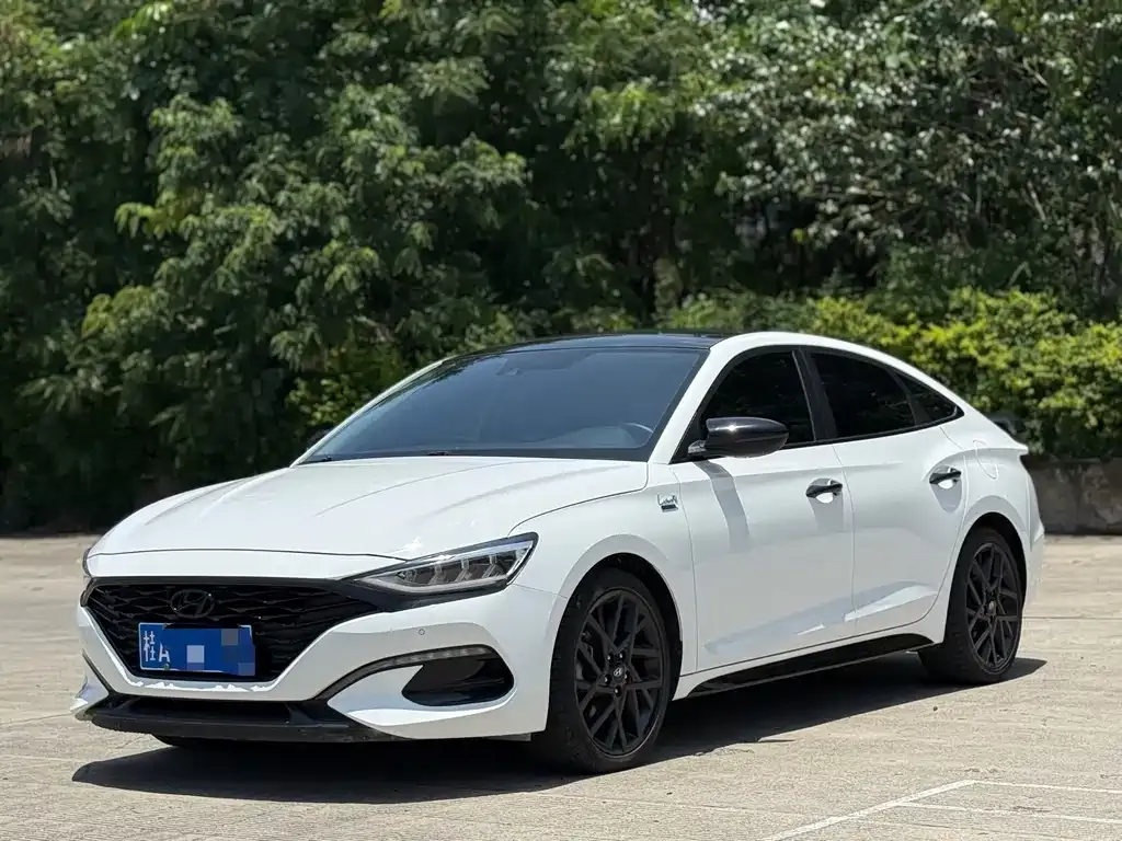 Hyundai Fista — фото 1