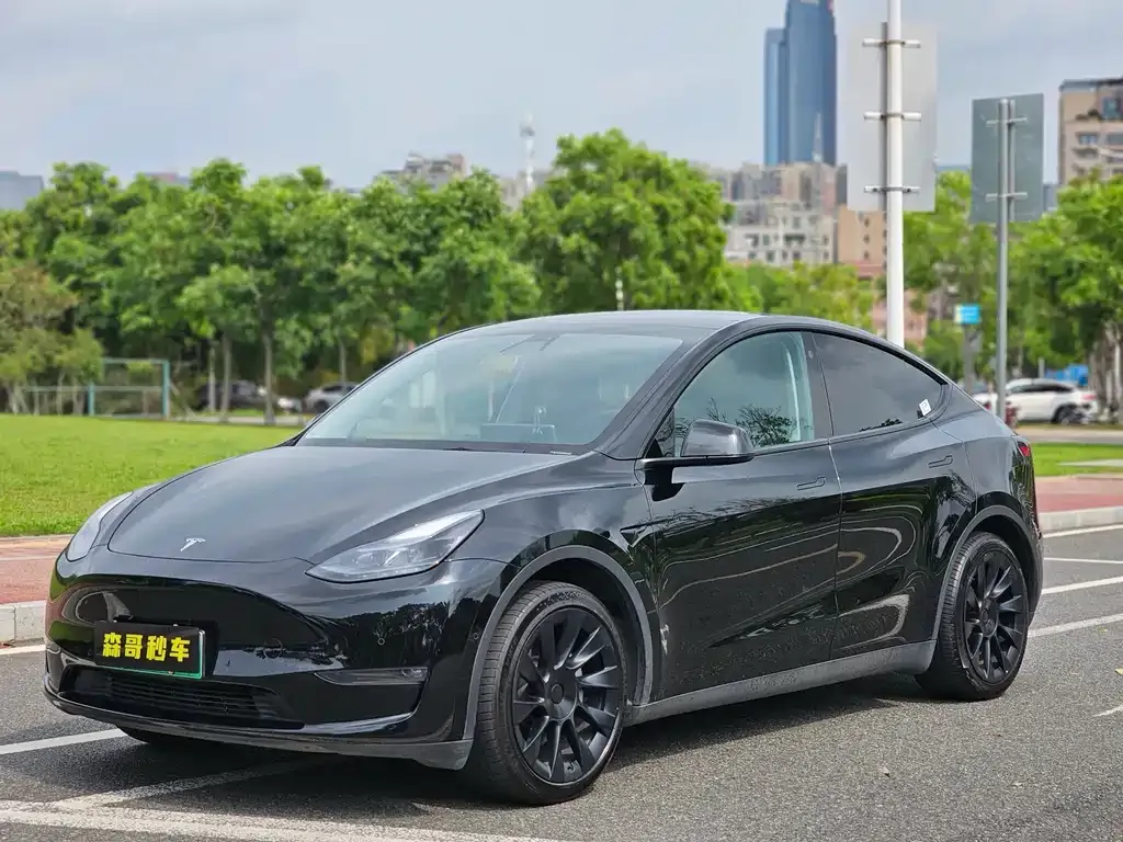 Tesla Model Y — фото 1