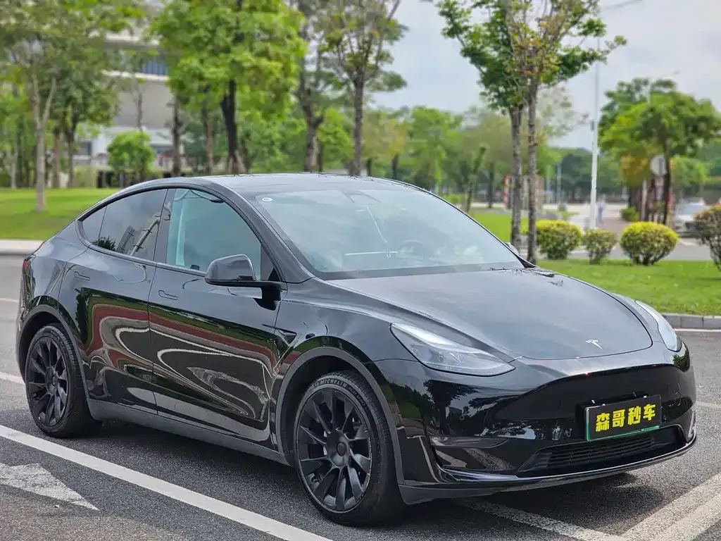 Tesla Model Y — фото 9