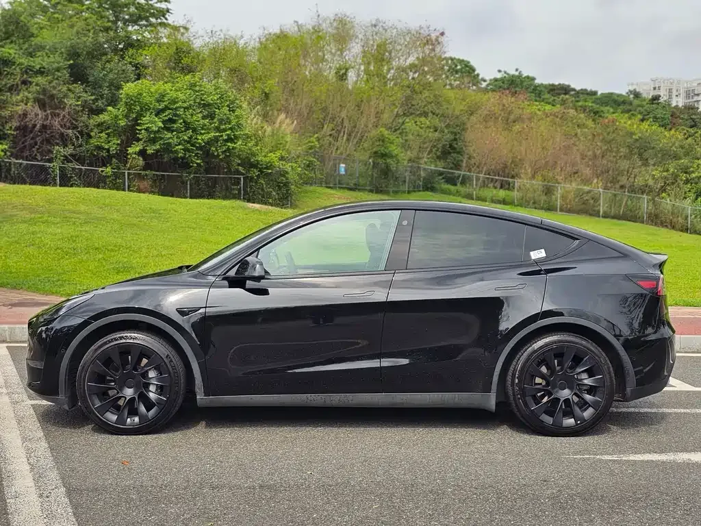 Tesla Model Y — фото 8