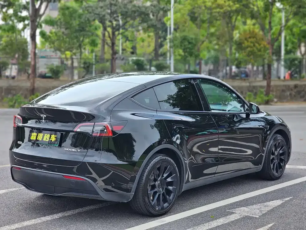 Tesla Model Y — фото 10