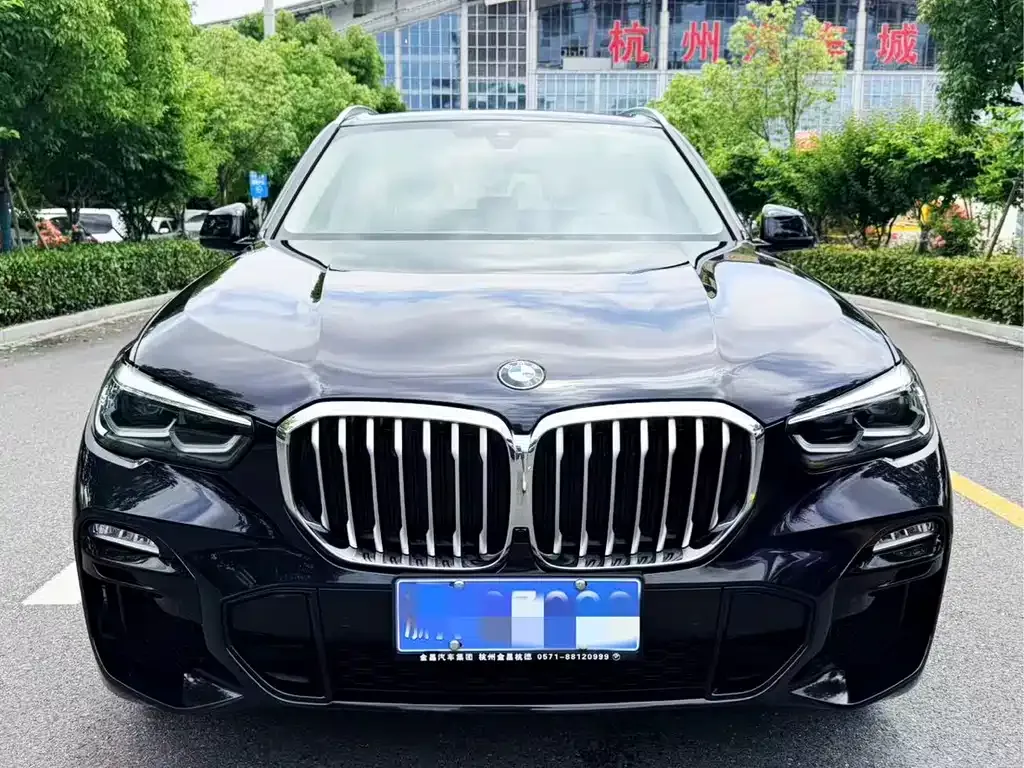 BMW X5 (Import) — фото 10