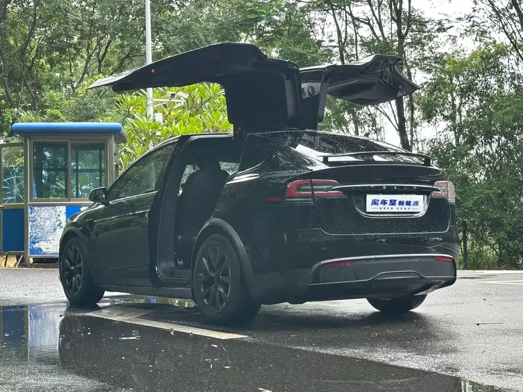 Tesla Model X — фото 6