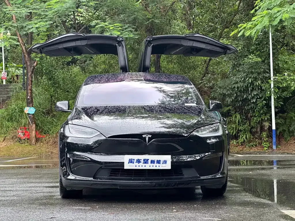 Tesla Model X — фото 8