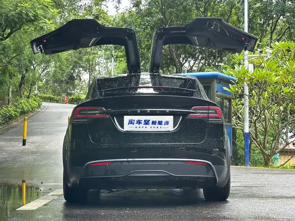 Tesla Model X — фото 4