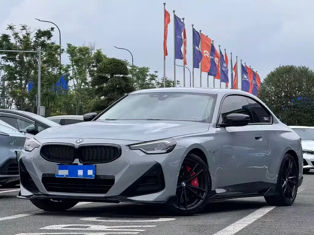 BMW 2 Series (Import) — фото 1
