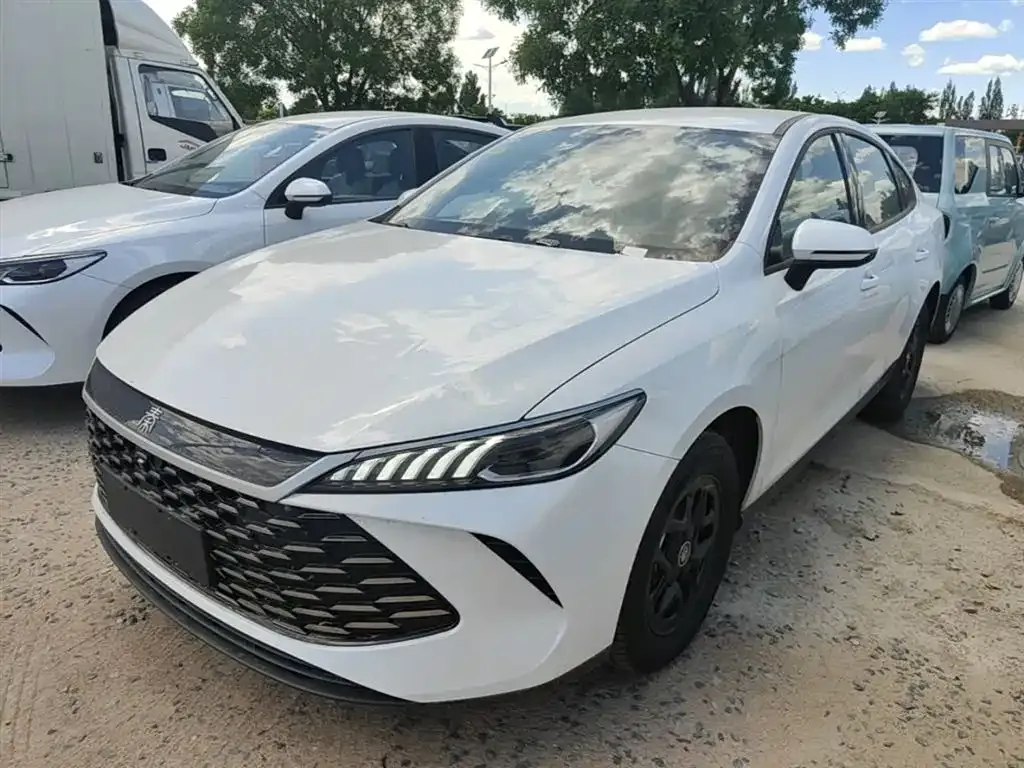 BYD Qin PLUS — фото 1