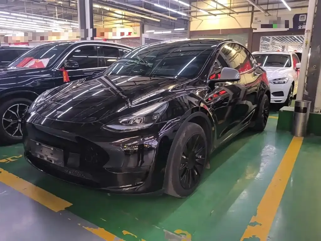 Tesla Model Y — фото 1