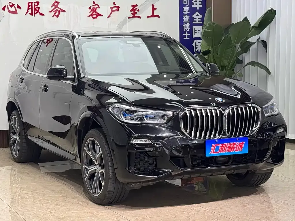 BMW X5 (Import) — фото 8