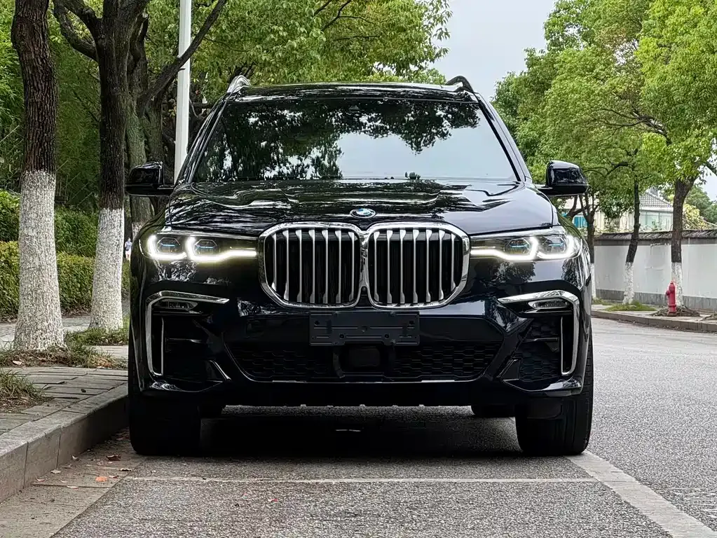 BMW X7 — фото 10