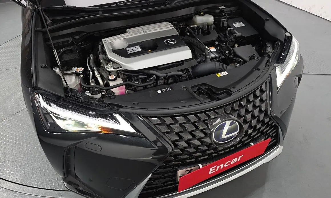 Lexus UX — фото 10