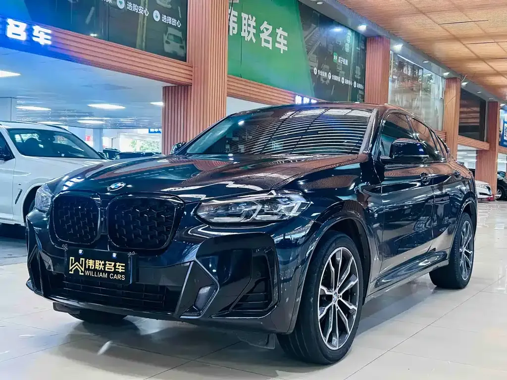 BMW X4 — фото 1