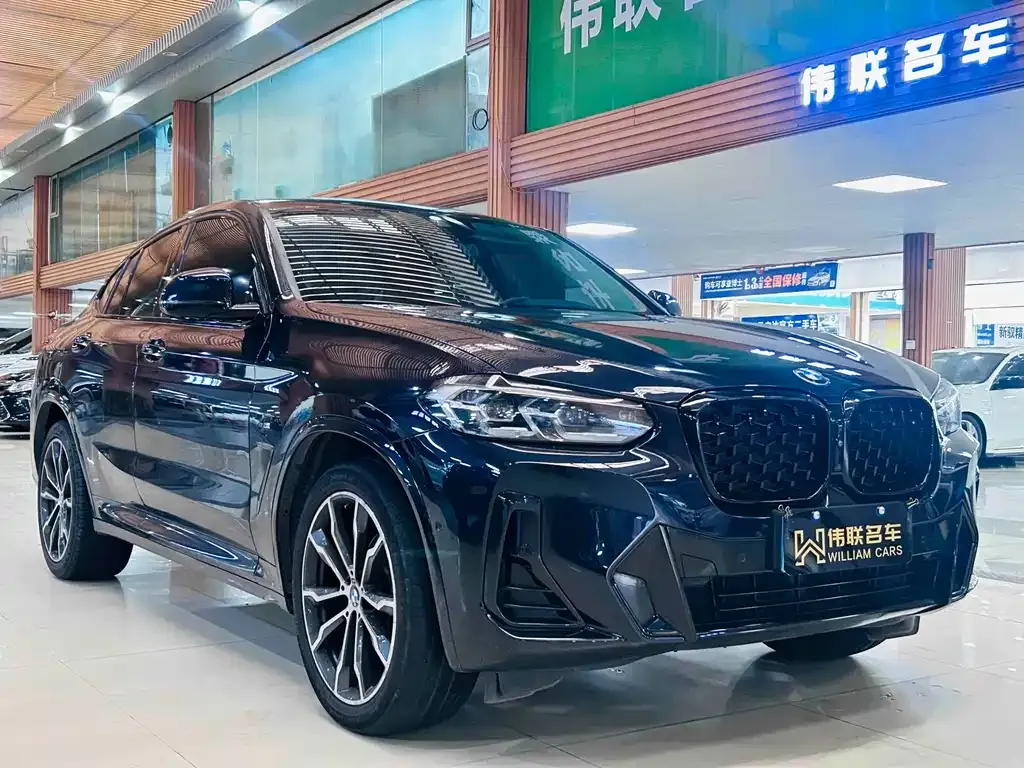 BMW X4 — фото 10