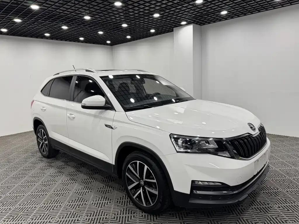 Skoda Kamiq — фото 9