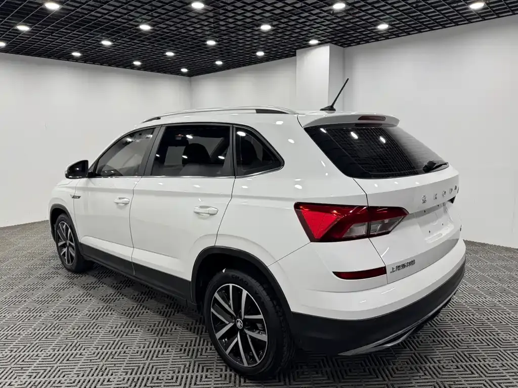 Skoda Kamiq — фото 7